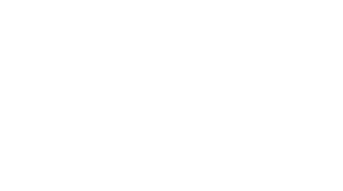 Pegasus 101